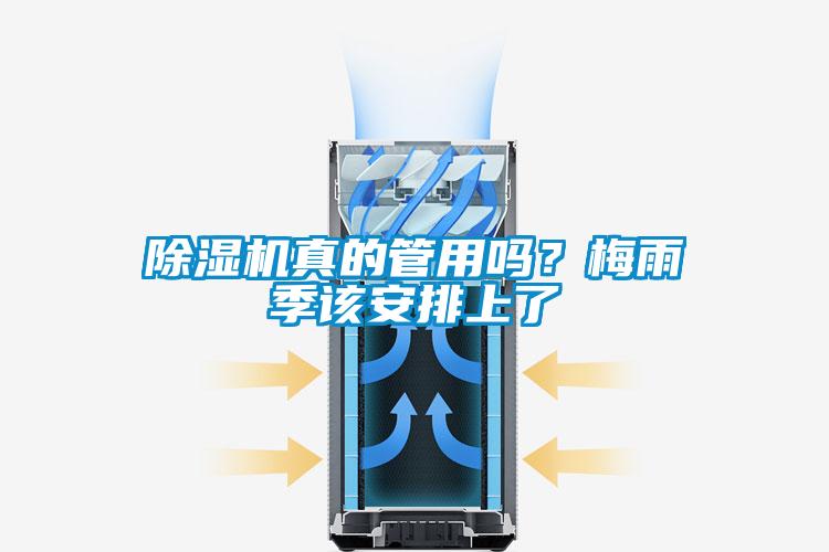 香蕉视频国产APP下载机真的管用吗？梅雨季该安排上了