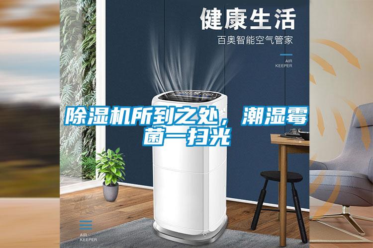 香蕉视频国产APP下载机所到之处，潮湿霉菌一扫光