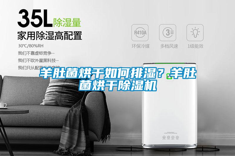 羊肚菌烘干如何排湿？羊肚菌烘干香蕉视频国产APP下载机