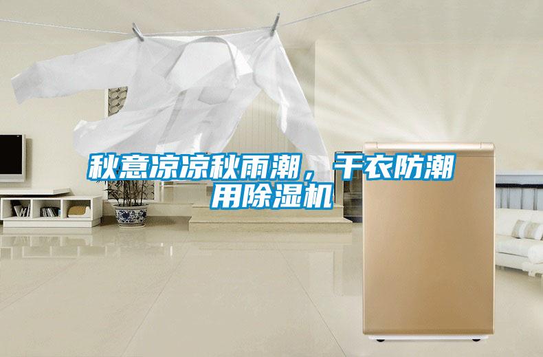 秋意凉凉秋雨潮，干衣防潮用香蕉视频国产APP下载机