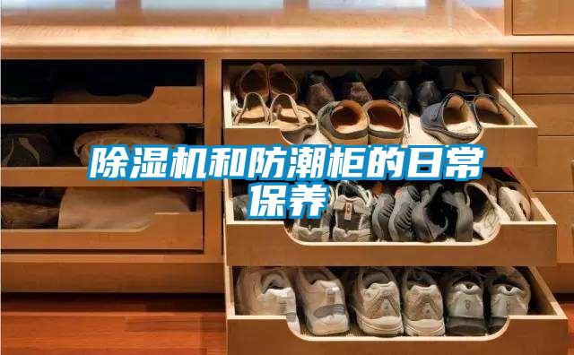 香蕉视频国产APP下载机和防潮柜的日常保养