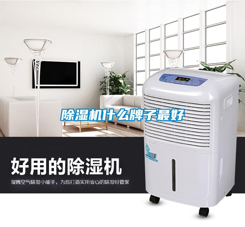 香蕉视频国产APP下载机什么牌子最好