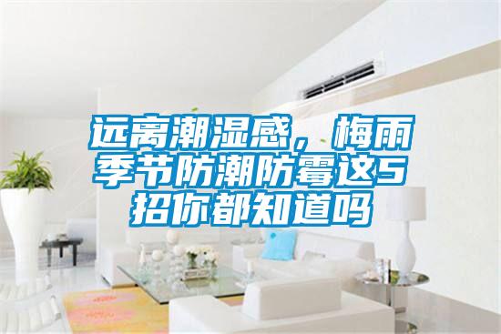 远离潮湿感，梅雨季节防潮防霉这5招你都知道吗