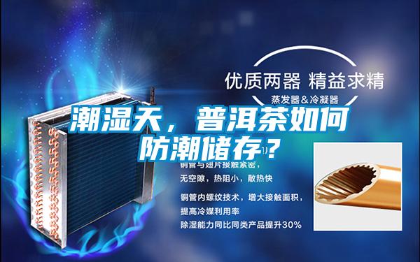 潮湿天，普洱茶如何防潮储存？