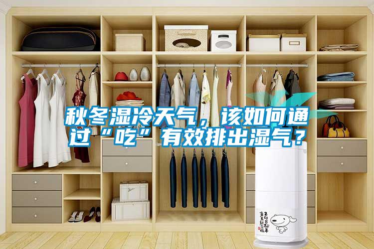 秋冬湿冷天气，该如何通过“吃”有效排出湿气？