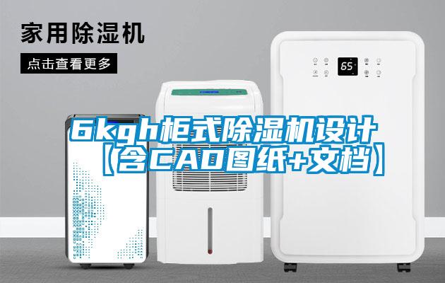 6kgh柜式香蕉视频国产APP下载机设计【含CAD图纸+文档】