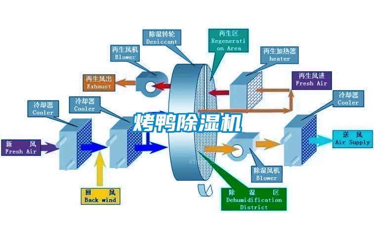 烤鸭香蕉视频国产APP下载机