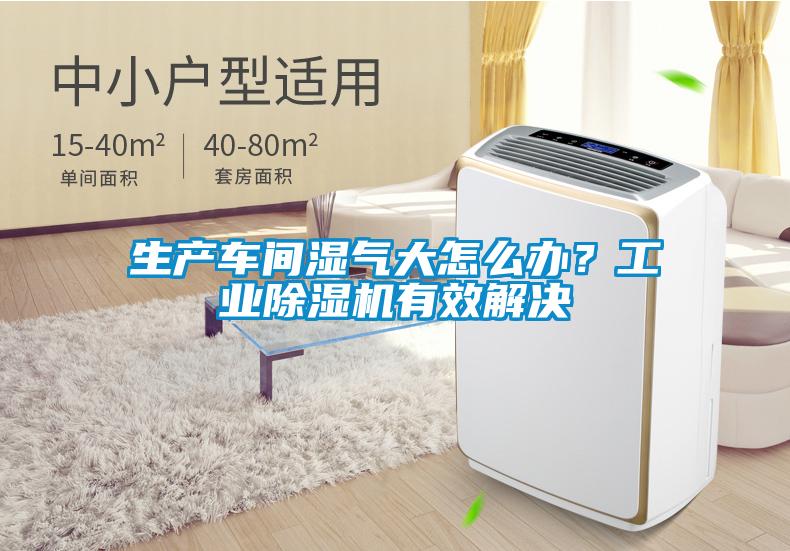 生产车间湿气大怎么办？工业香蕉视频国产APP下载机有效解决