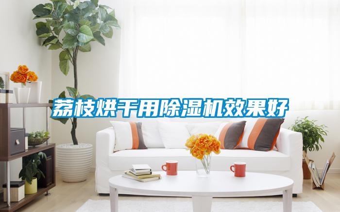 荔枝烘干用香蕉视频国产APP下载机效果好