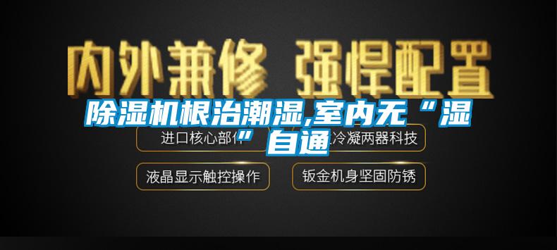 香蕉视频国产APP下载机根治潮湿,室内无“湿”自通