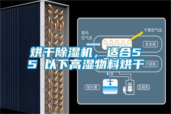 烘干香蕉视频国产APP下载机，适合55℃以下高湿物料烘干