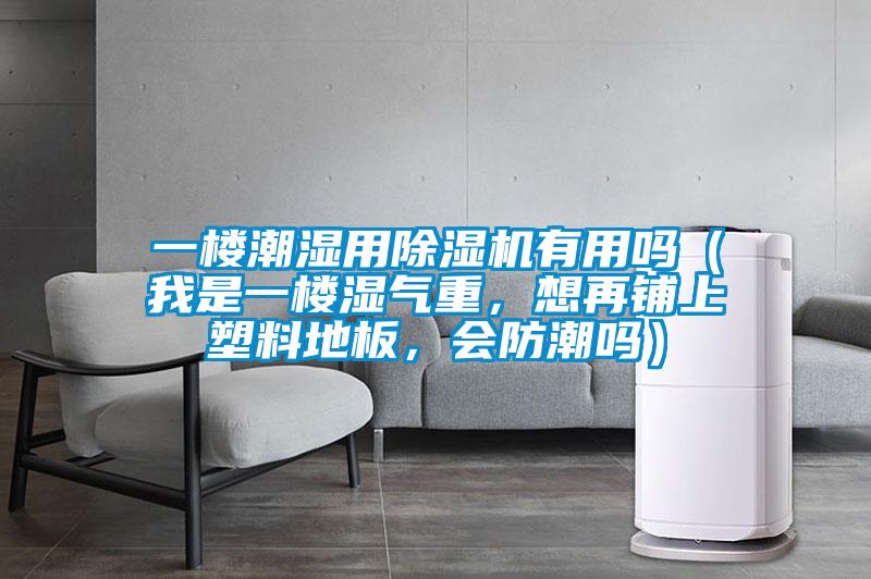 一楼潮湿用香蕉视频国产APP下载机有用吗（我是一楼湿气重，想再铺上塑料地板，会防潮吗）