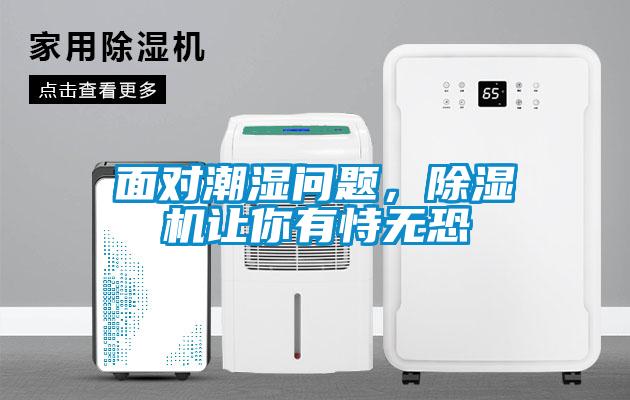面对潮湿问题，香蕉视频国产APP下载机让你有恃无恐