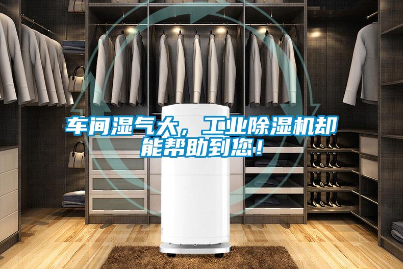 车间湿气大，工业香蕉视频国产APP下载机却能帮助到您！