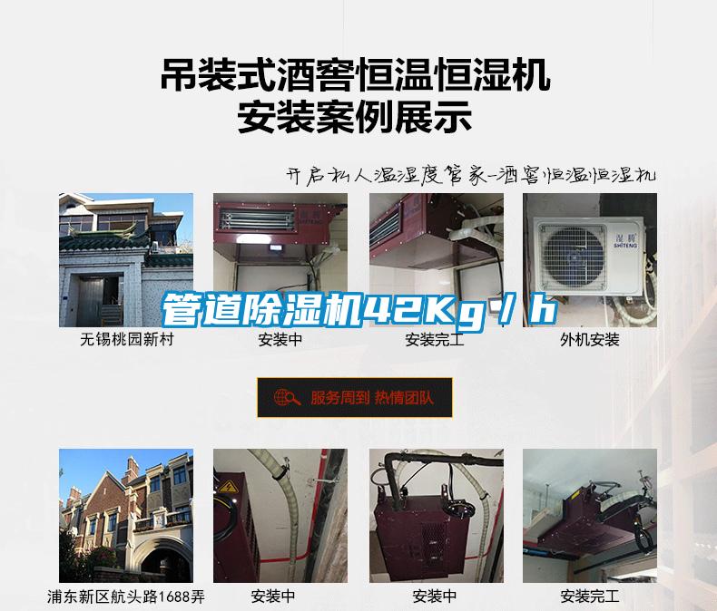 管道香蕉视频国产APP下载机42Kg／h