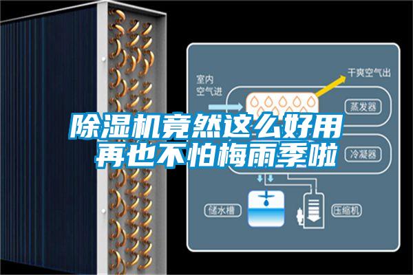 香蕉视频国产APP下载机竟然这么好用 再也不怕梅雨季啦