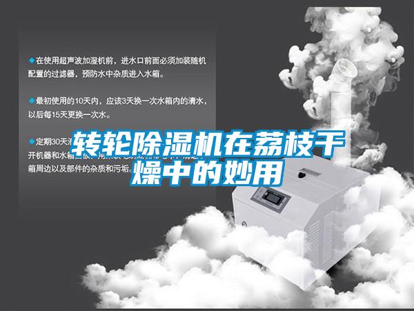 转轮香蕉视频国产APP下载机在荔枝干燥中的妙用