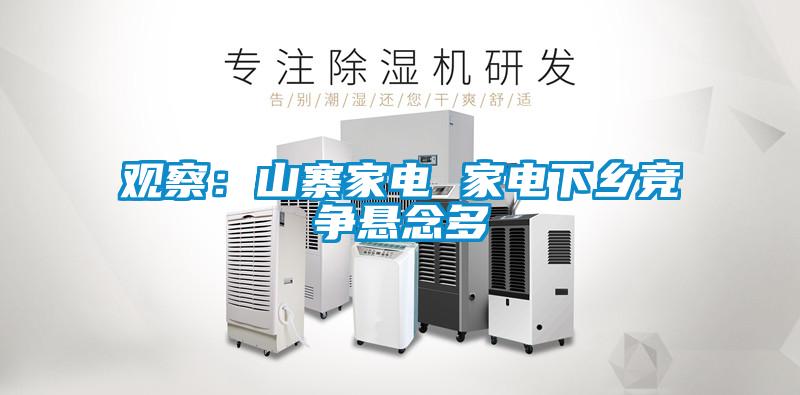 观察：山寨家电 家电下乡竞争悬念多