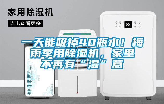 一天能吸掉40瓶水！梅雨季用香蕉视频国产APP下载机，家里不再有“湿”意