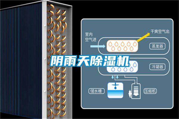 阴雨天香蕉视频国产APP下载机