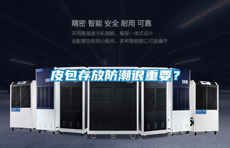皮包存放防潮很重要？