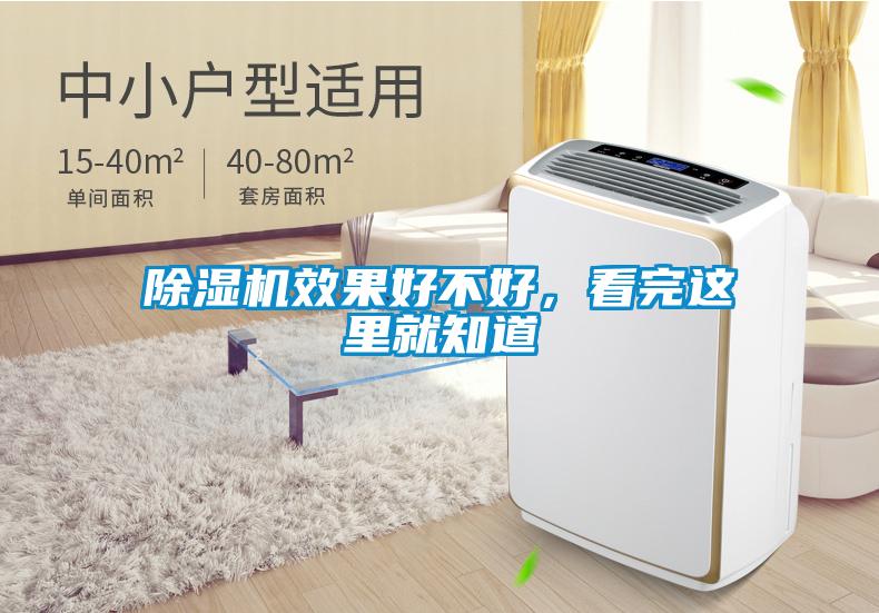 香蕉视频国产APP下载机效果好不好，看完这里就知道