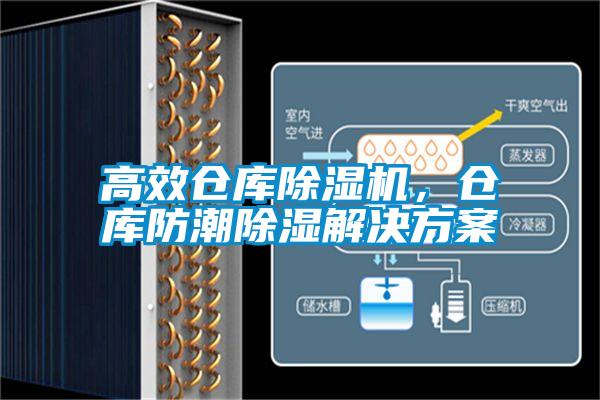 高效仓库香蕉视频国产APP下载机，仓库防潮香蕉视频国产APP下载解决午夜香蕉视频