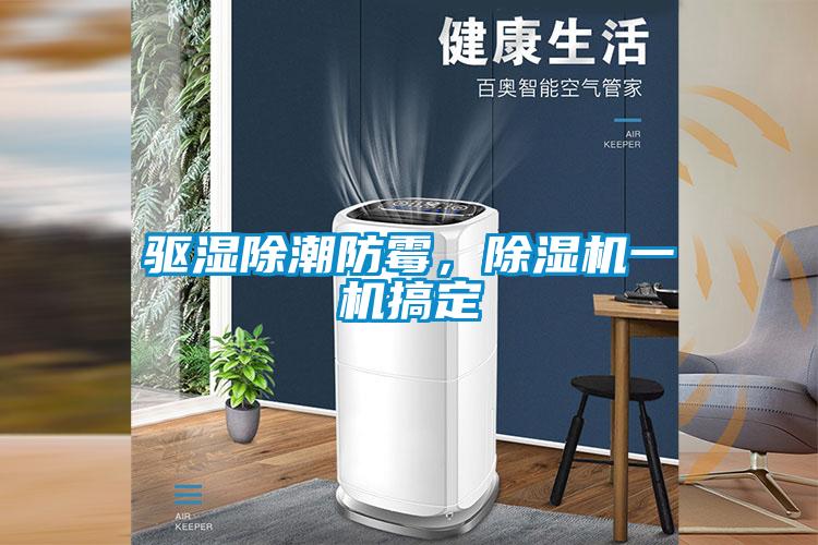 驱湿除潮防霉，香蕉视频国产APP下载机一机搞定