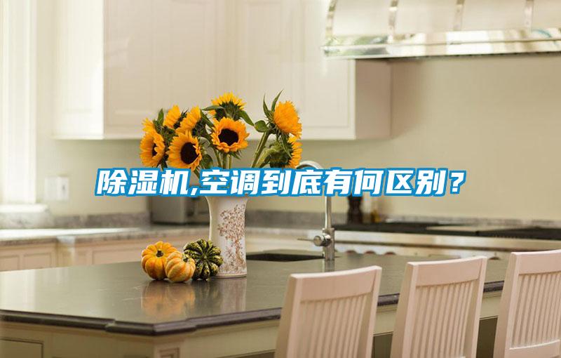 香蕉视频国产APP下载机,空调到底有何区别？