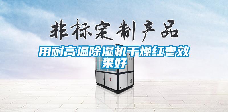用耐高温香蕉视频国产APP下载机干燥红枣效果好