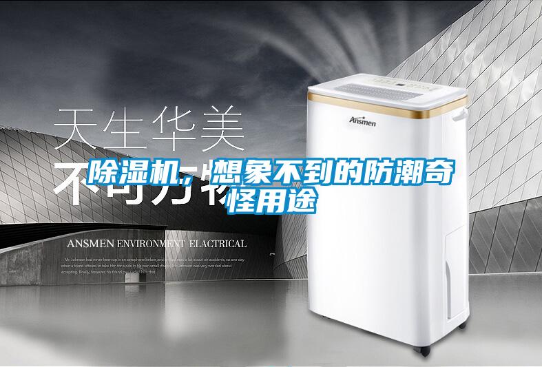 香蕉视频国产APP下载机，想象不到的防潮奇怪用途