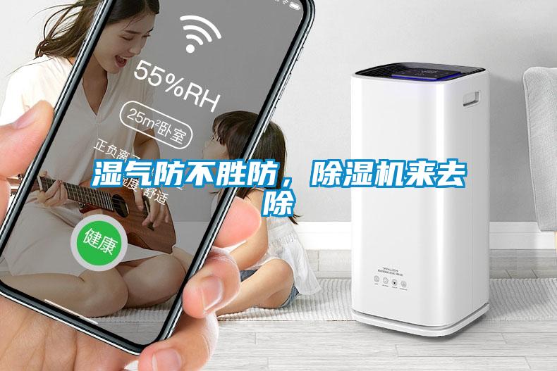 湿气防不胜防，香蕉视频国产APP下载机来去除