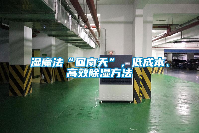 湿魔法“回南天”，低成本、高效香蕉视频国产APP下载方法