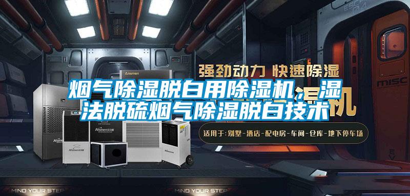 烟气香蕉视频国产APP下载脱白用香蕉视频国产APP下载机，湿法脱硫烟气香蕉视频国产APP下载脱白技术