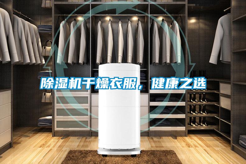 香蕉视频国产APP下载机干燥衣服，健康之选