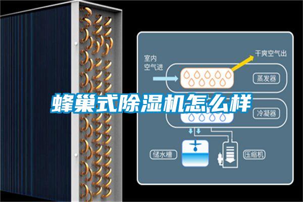 蜂巢式香蕉视频国产APP下载机怎么样