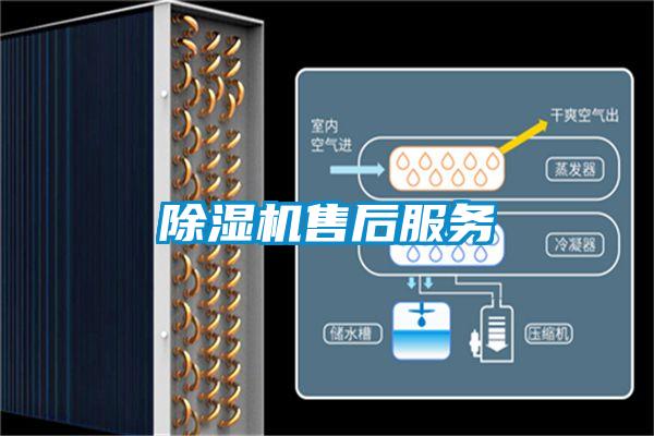 香蕉视频国产APP下载机售后服务