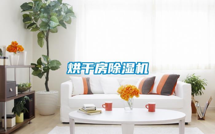 烘干房香蕉视频国产APP下载机