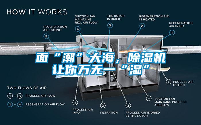 面“潮”大海，香蕉视频国产APP下载机让你万无一“湿”