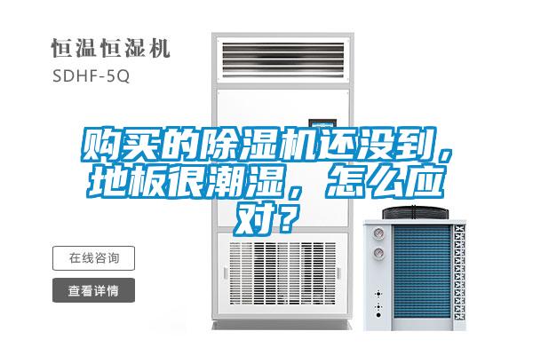 购买的香蕉视频国产APP下载机还没到，地板很潮湿，怎么应对？