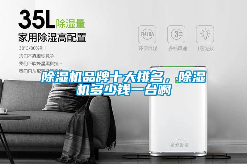 香蕉视频国产APP下载机品牌十大排名，香蕉视频国产APP下载机多少钱一台啊