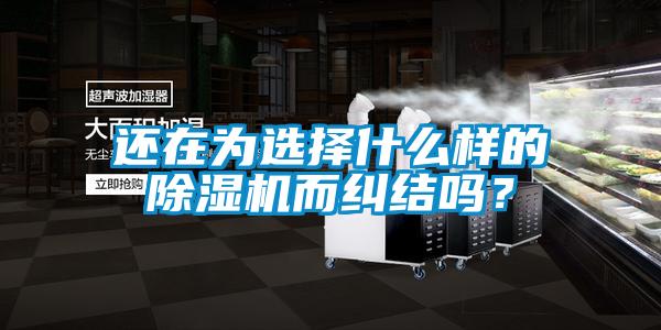还在为选择什么样的香蕉视频国产APP下载机而纠结吗？