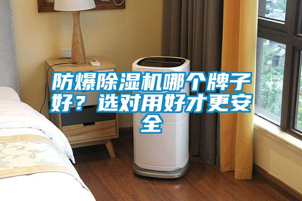 防爆香蕉视频国产APP下载机哪个牌子好？选对用好才更安全
