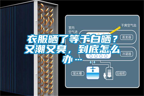 衣服晒了等于白晒？又潮又臭，到底怎么办…