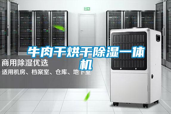 牛肉干烘干香蕉视频国产APP下载一体机