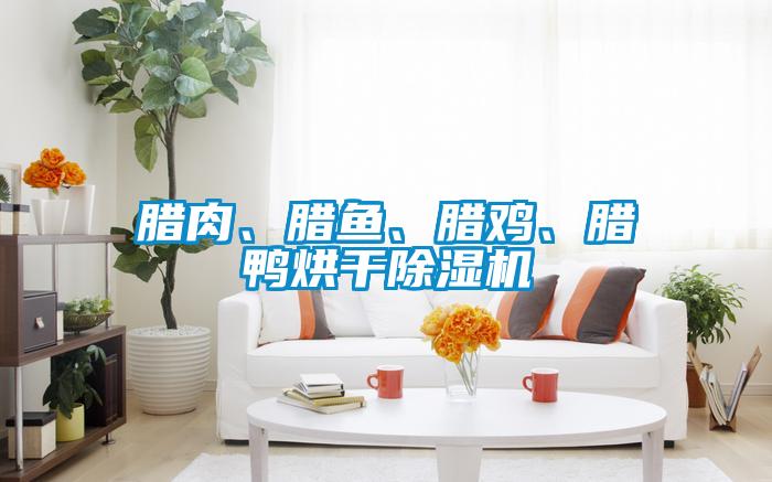 腊肉、腊鱼、腊鸡、腊鸭烘干香蕉视频国产APP下载机