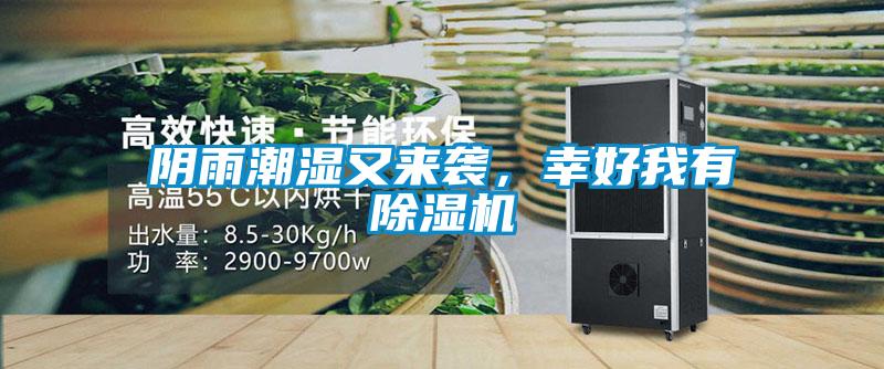 阴雨潮湿又来袭，幸好我有香蕉视频国产APP下载机