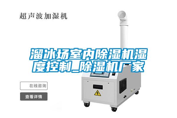 溜冰场室内香蕉视频国产APP下载机湿度控制_香蕉视频国产APP下载机厂家