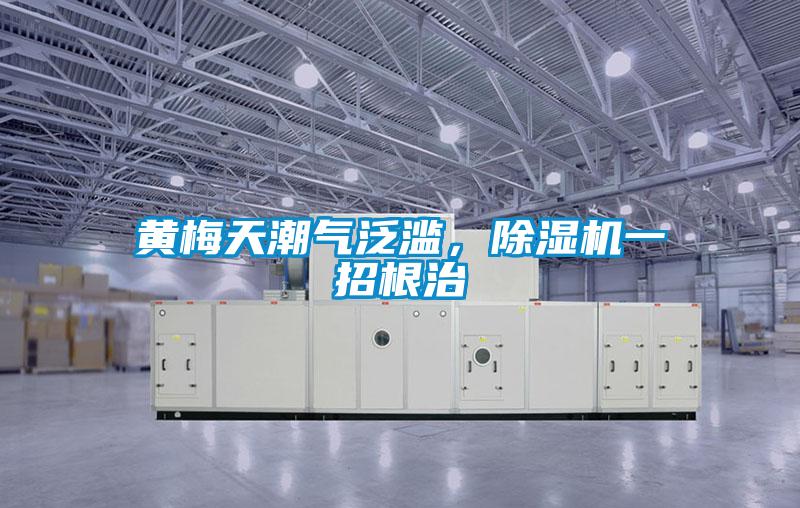 黄梅天潮气泛滥，香蕉视频国产APP下载机一招根治