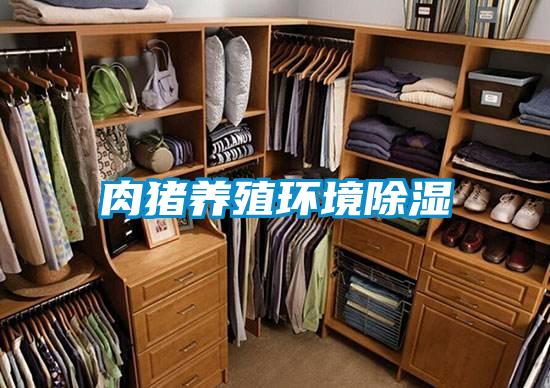 肉猪养殖环境香蕉视频国产APP下载